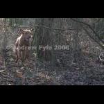 HPRTrial2006  239