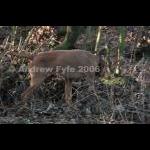 HPRTrial2006  244