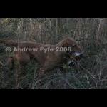 HPRTrial2006  257