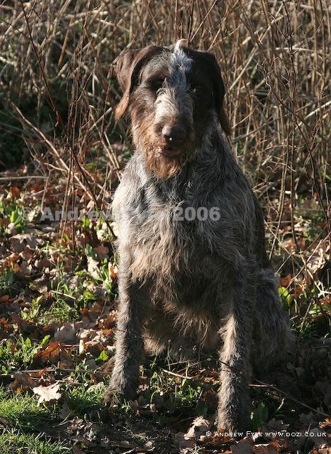 HPRTrial2006  235