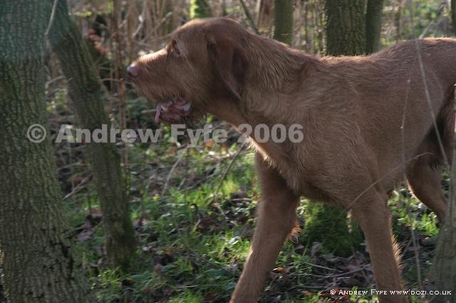 HPRTrial2006  238