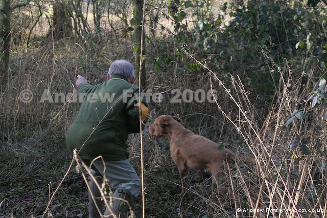 HPRTrial2006  248