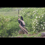 IMG_6354-32-32
