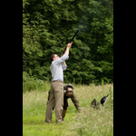 IMG_2445-268-260