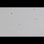 IMG_6401-80-80