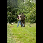 IMG_2448-271-263