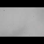 IMG_2626-520-512