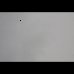 IMG_2627-521-513