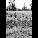 IMG_7689