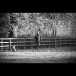 IMG_7885