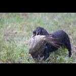 IMG_5613a