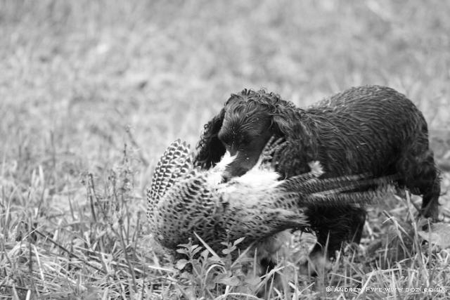 IMG_5614a