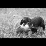 IMG_5614a