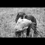 IMG_5615a