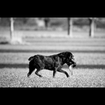 IMG_8056-2