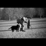 IMG_8057