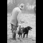 IMG_5647a