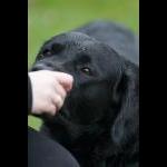 IMG_6146a
