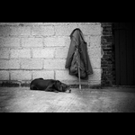 IMG_9740-Edit
