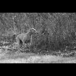 IMG_3176
