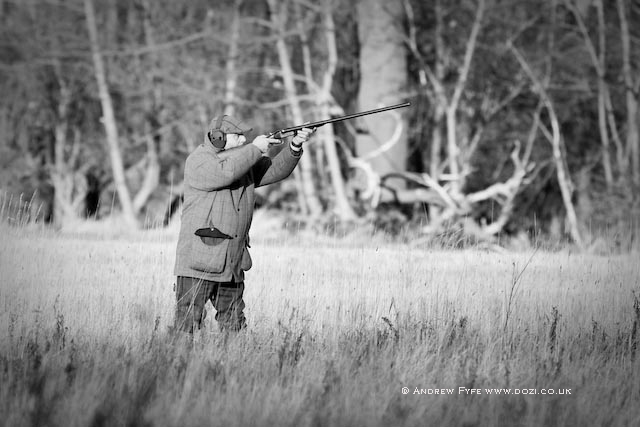IMG_1648