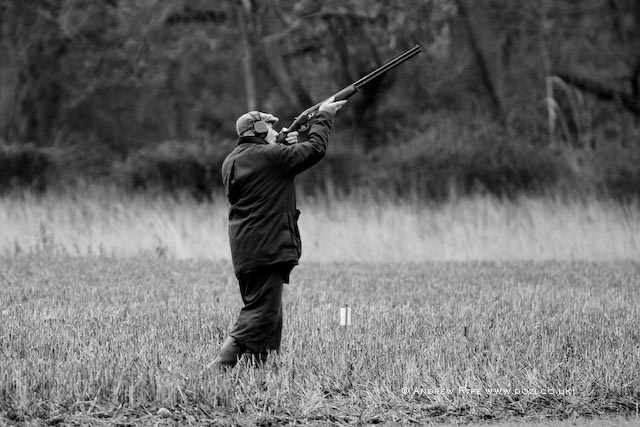 IMG_1939