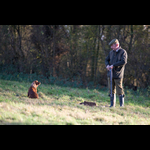 IMG_7550