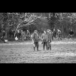 IMG_8454