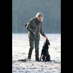 Bracken-103