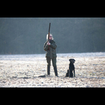 Bracken-108