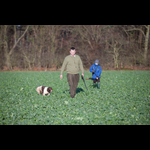 Bracken-113