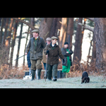 Bracken-19