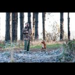 Bracken-35