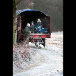 Bracken-38